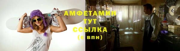 прущие крисы Карпинск