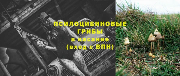 мяу мяу мука Касимов